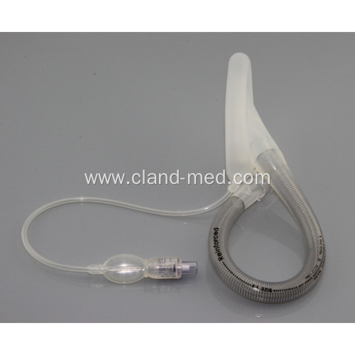 Laryngeal Mask Airway